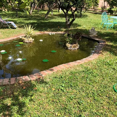 La Casita Del Cactus - Casa De Campo Con Piscina Alcalá de Guadaira Exterior foto