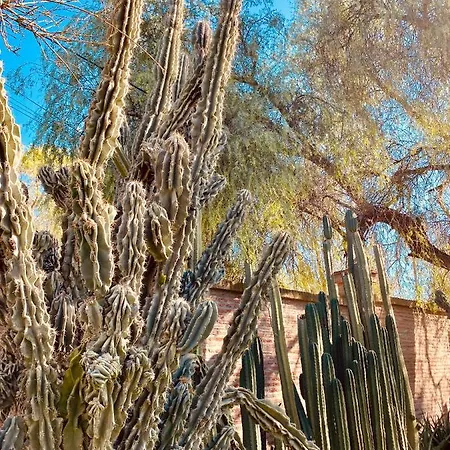 La Casita Del Cactus - Casa De Campo Con Piscina Alcalá de Guadaira Exterior foto